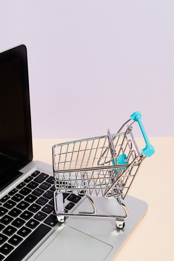Unlock your e-commerce potential with hot dropship products